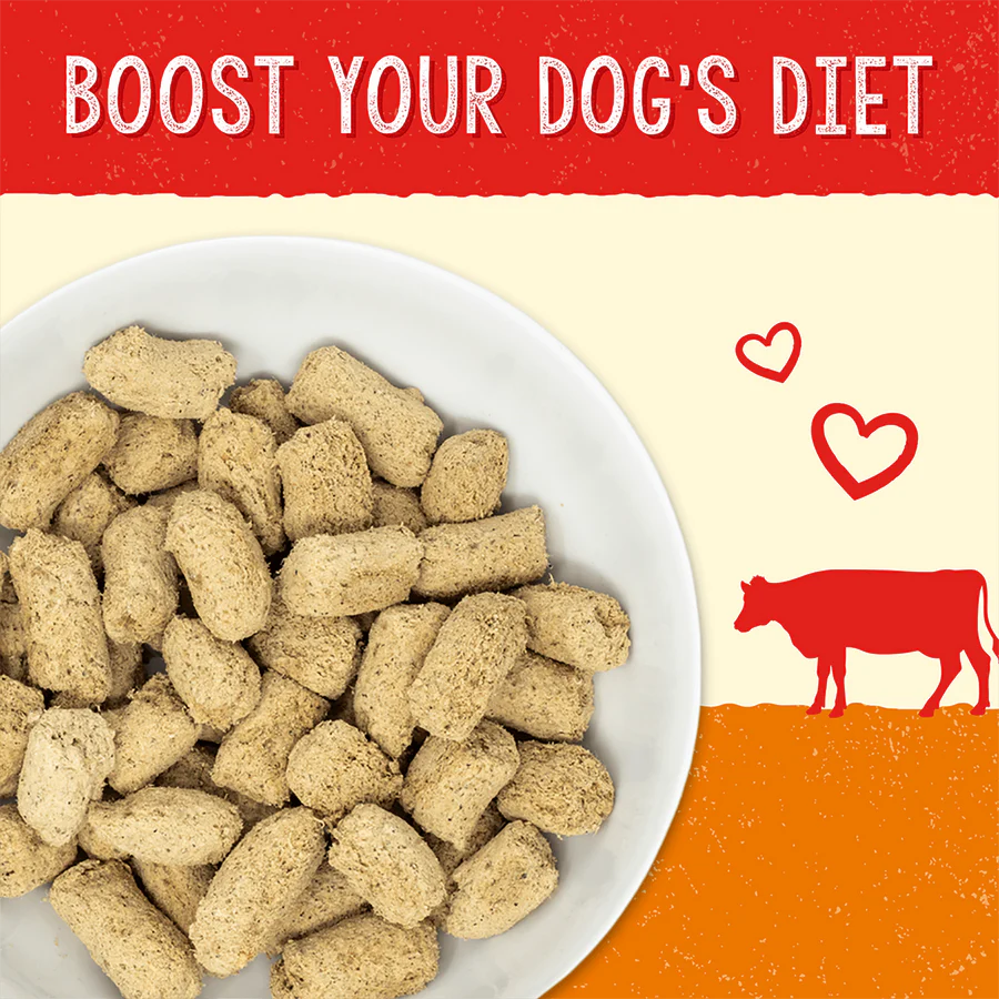 Stella & Chewy's Digestive Boost Grass-Fed Beef Recipe 13 oz
