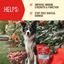 Stella & Chewy's Immune Boost Grass Fed Lamb Recipe 13oz