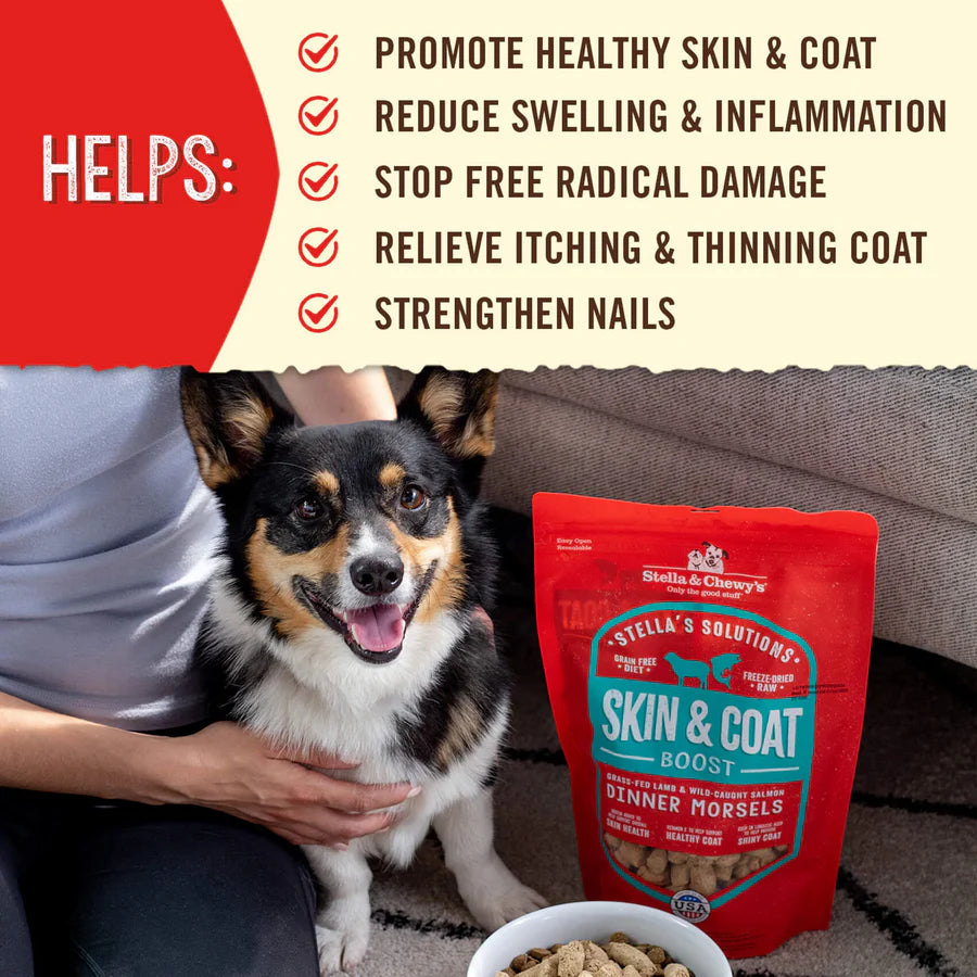 Stella & Chewy's Skin & Coat Grass Fed Lamb & Wild Caught Salmon 13oz