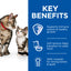 Hill's Science Plan Kitten & Mother Tender Mousse - (24x85g)