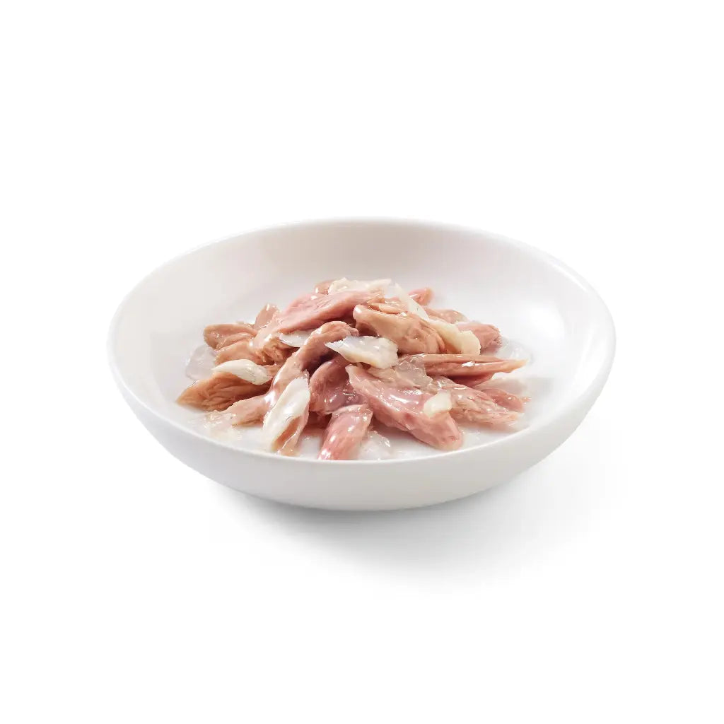 Schesir Cat Can Jelly Tuna With Cod 85g