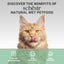 Schesir Complements Cat Wet Food  in Jelly Can- Chicken With Seabass 70g