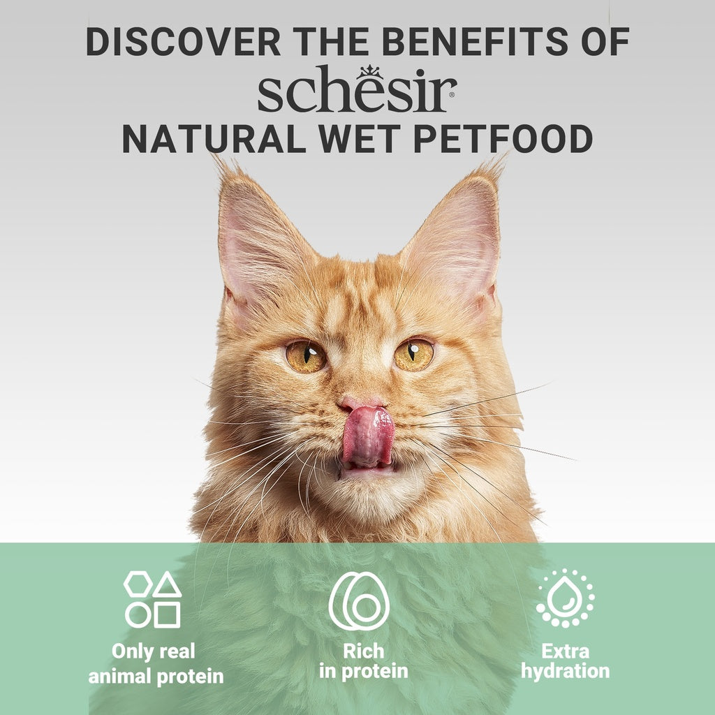 Schesir Complements Cat Wet Food  in Jelly Can- Chicken With Seabass 70g