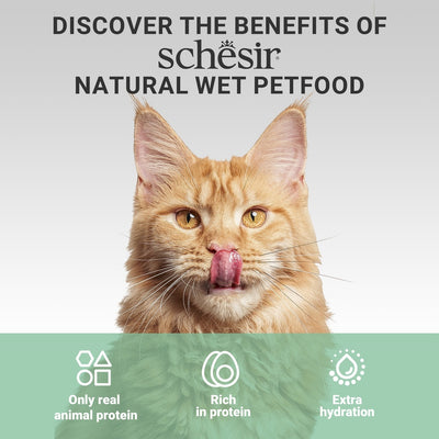 Schesir Complements Cat Wet Food  in Broth- Chicken with Beef 70g
