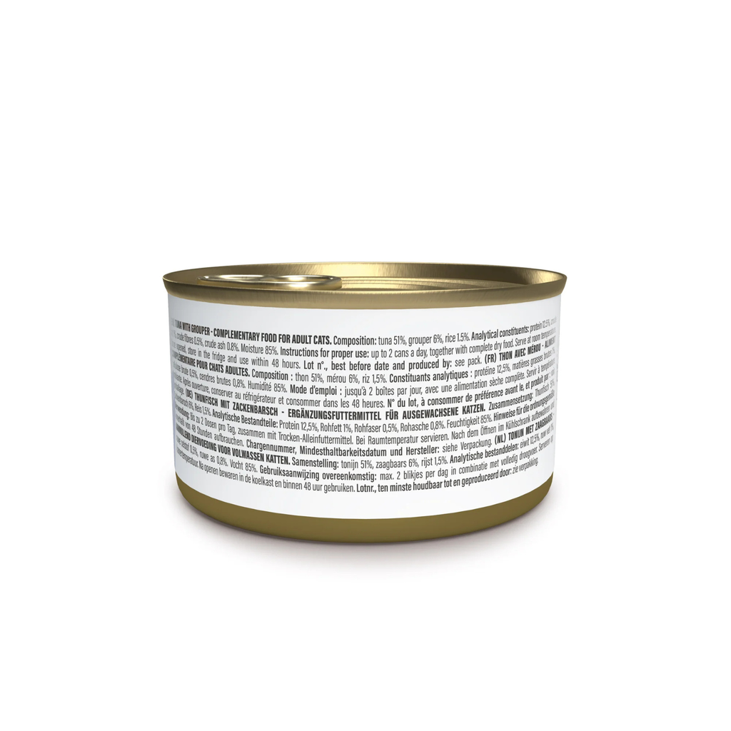 Schesir Complements Cat Wet Food in Jelly Can- Tuna With Grouper 70g