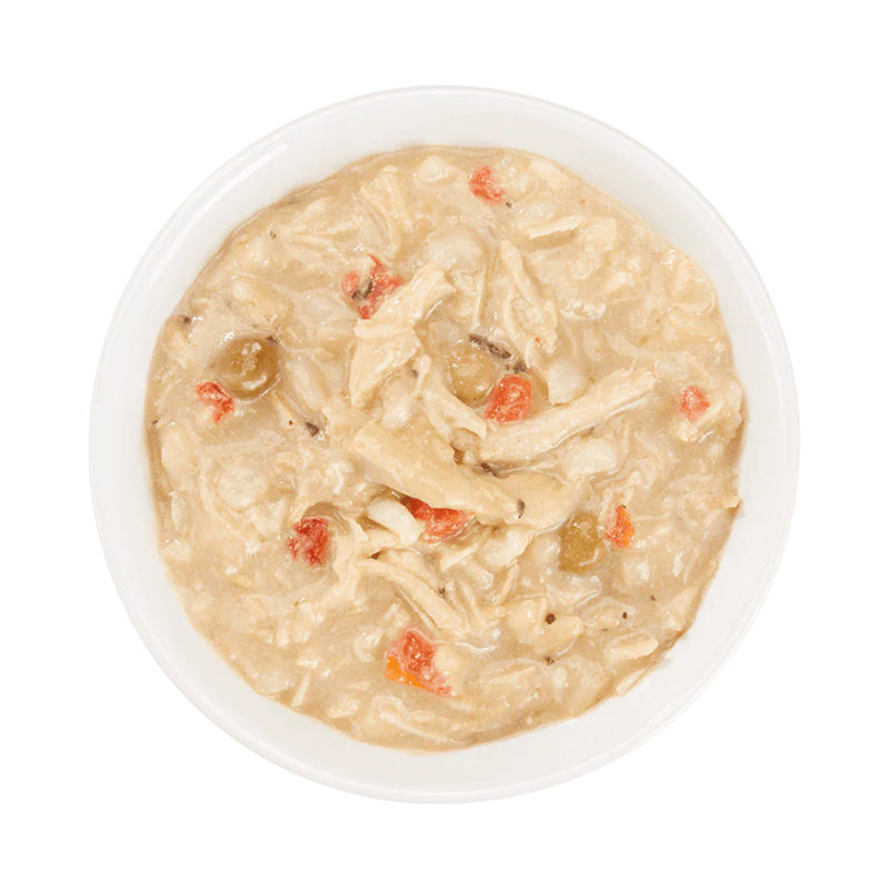 Schesir Taste The World Dog Wholefood - Thai Coconut Chicken 150g
