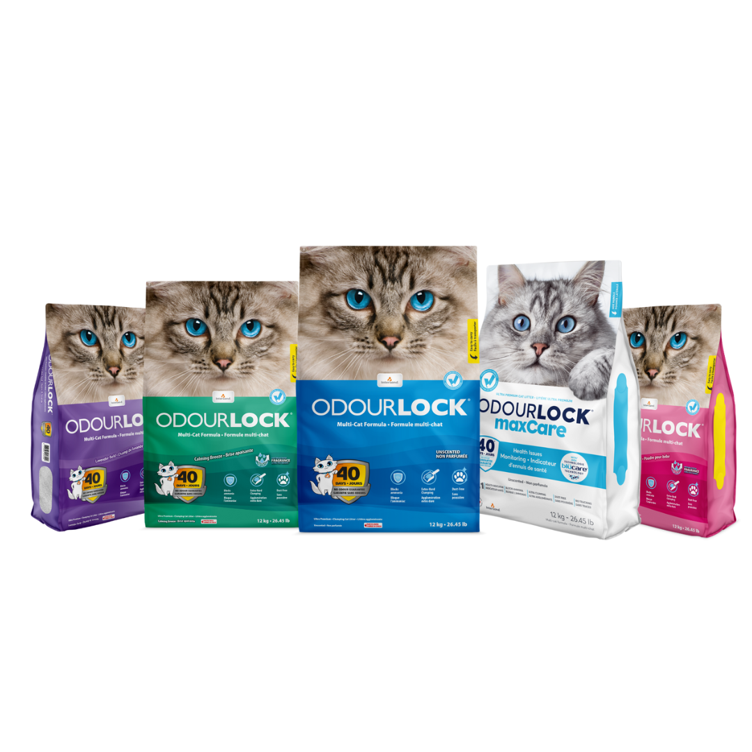 OdourLock Unscented Original - Ultra premium Clumping Cat Litter Blocks ammonia, 99.9% Dust free