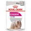 Royal Canin Canine Care Nutrition Exigent (WET FOOD- Pouches) 12 x 85g