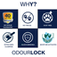OdourLock Unscented Original - Ultra premium Clumping Cat Litter Blocks ammonia, 99.9% Dust free
