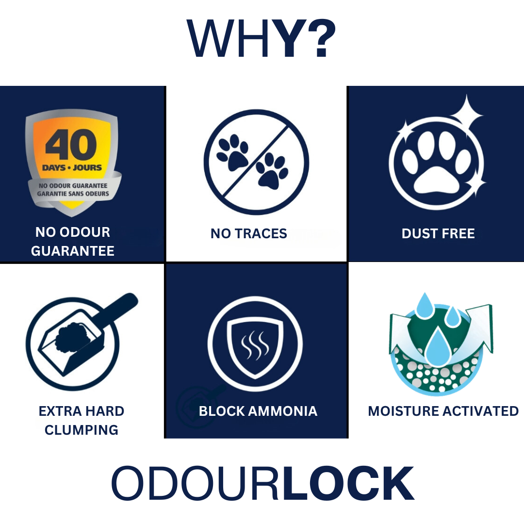 OdourLock Unscented Original - Ultra premium Clumping Cat Litter Blocks ammonia, 99.9% Dust free