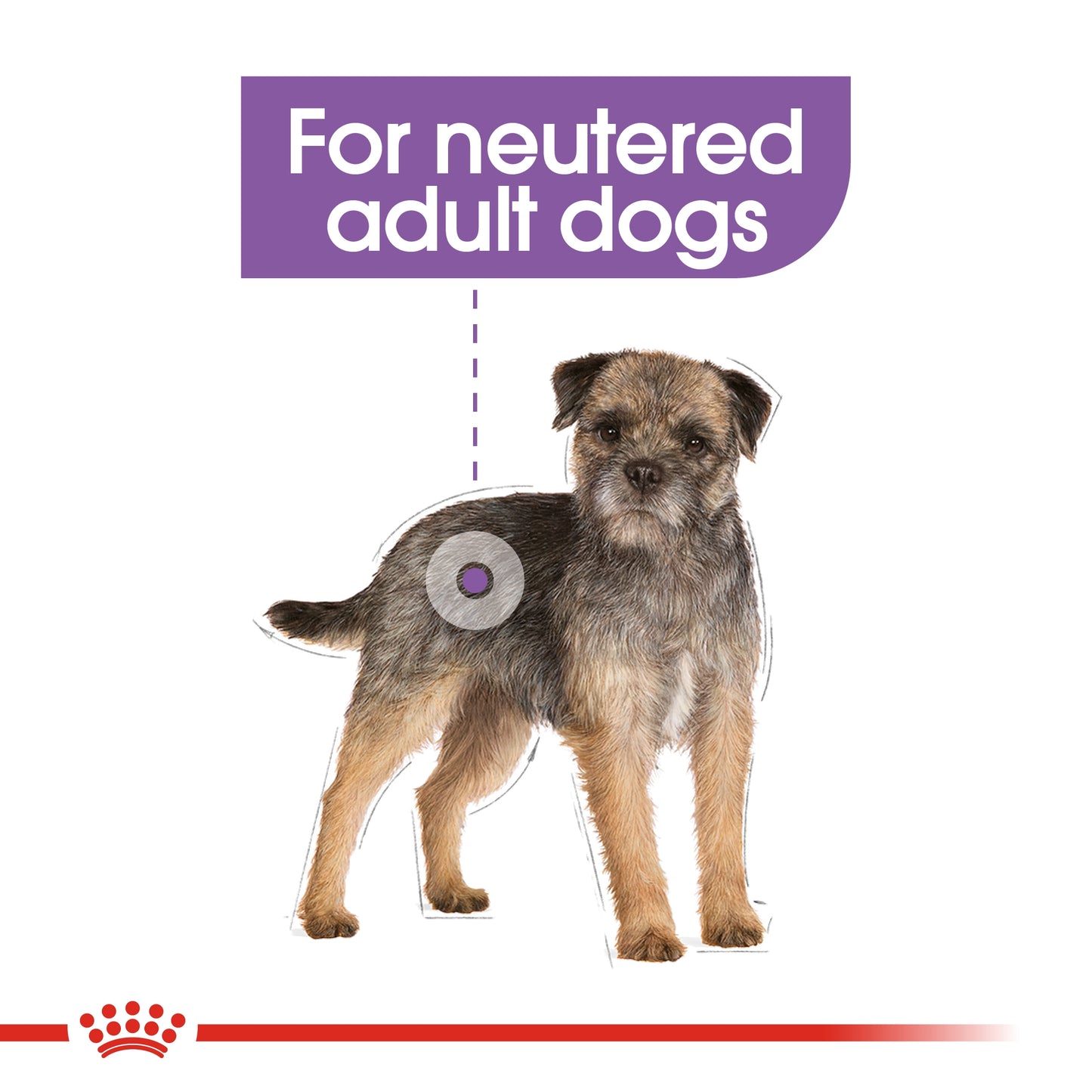 Royal Canin Canine Care Nutrition Mini Sterilized Adult 3 KG