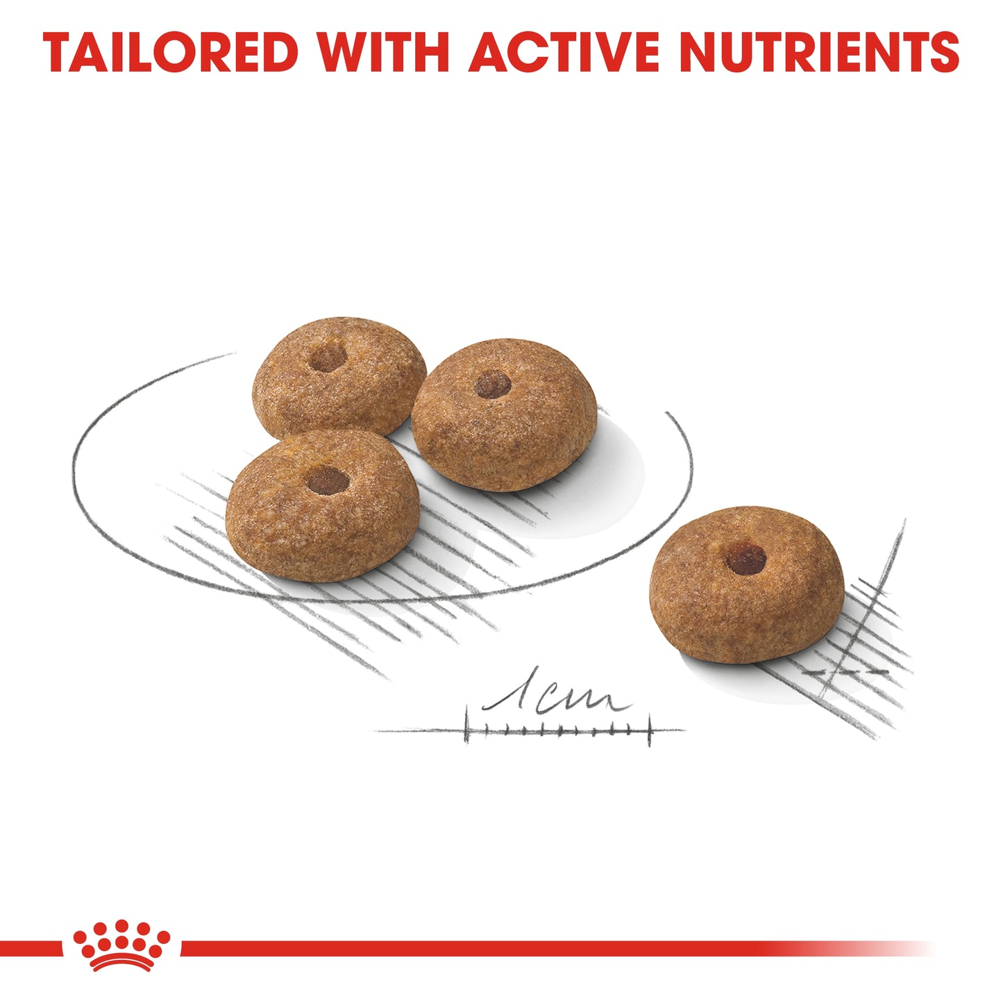Royal Canin Canine Care Nutrition Mini Sterilized Adult 3 KG