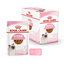 Royal Canin Feline Health Nutrition Kitten Gravy (Wet Food - Pouches)