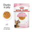 Royal Canin Feline Health Nutrition Kitten Sterilised Jelly (WET FOOD - Pouches) 12 x 85g