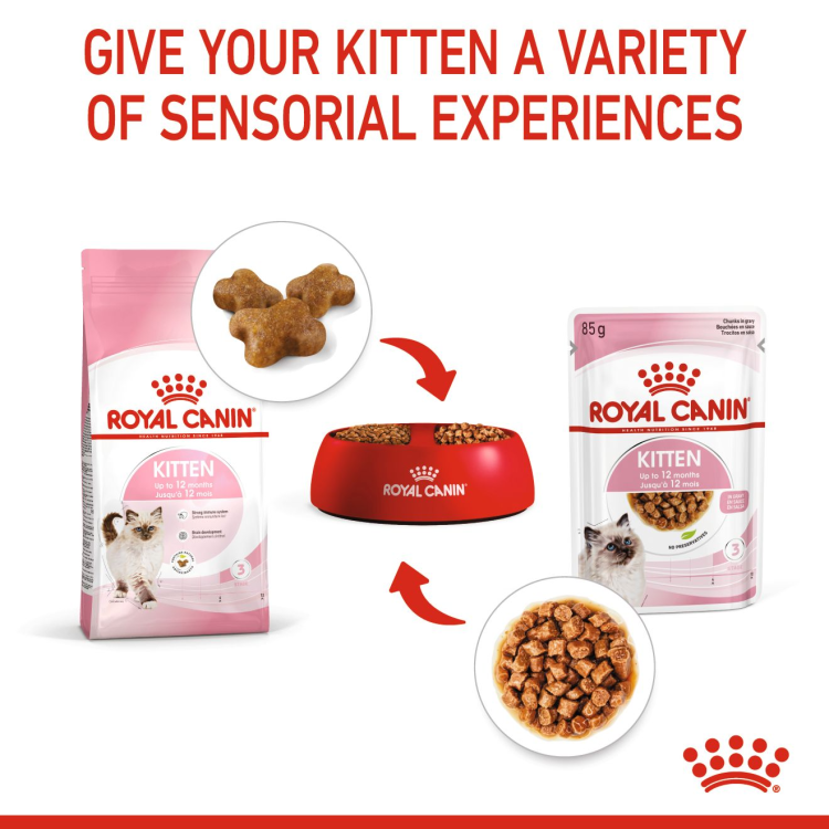 Royal Canin Feline Health Nutrition Kitten Gravy (Wet Food - Pouches)