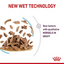 Royal Canin Feline Health Nutrition Sensory Feel Gravy (Cat Wet Food - Pouches)