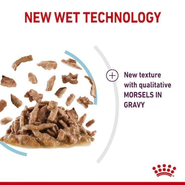 Royal Canin Feline Health Nutrition Sensory Feel Gravy (Cat Wet Food - Pouches)