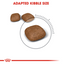 Royal Canin Feline Care Nutrition Urinary Care