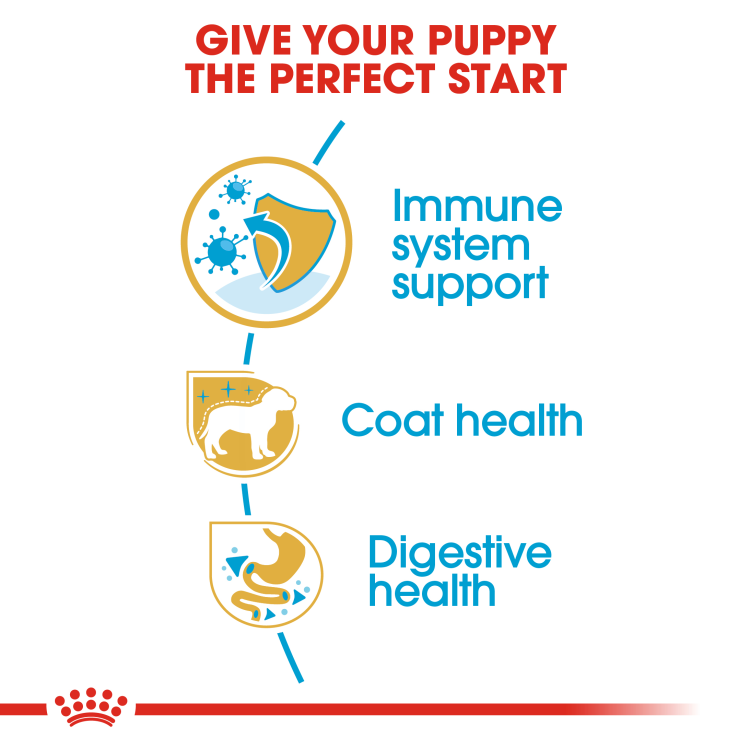 Royal Canin Breed Health Nutrition Poodle Puppy Dry Food - 3 kg