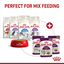 Royal Canin Feline Health Nutrition Sensory Feel Gravy (Cat Wet Food - Pouches)