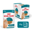 Royal Canin Feline Health Nutrition Ageing 11+ Gravy (Cat Wet Food - Pouches)