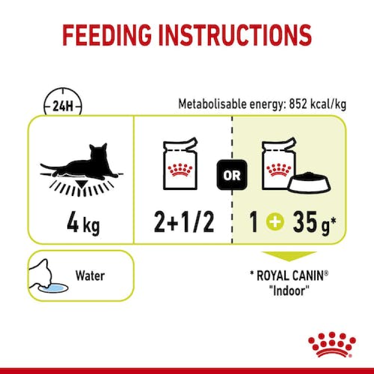 Royal Canin Feline Health Nutrition Sensory Smell Gravy (Cat Wet Food - Pouches)