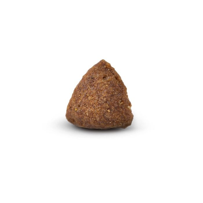 Arden Grange Daily Small Breeds Adult with Fresh Chicken & Rice Dry Dog Food