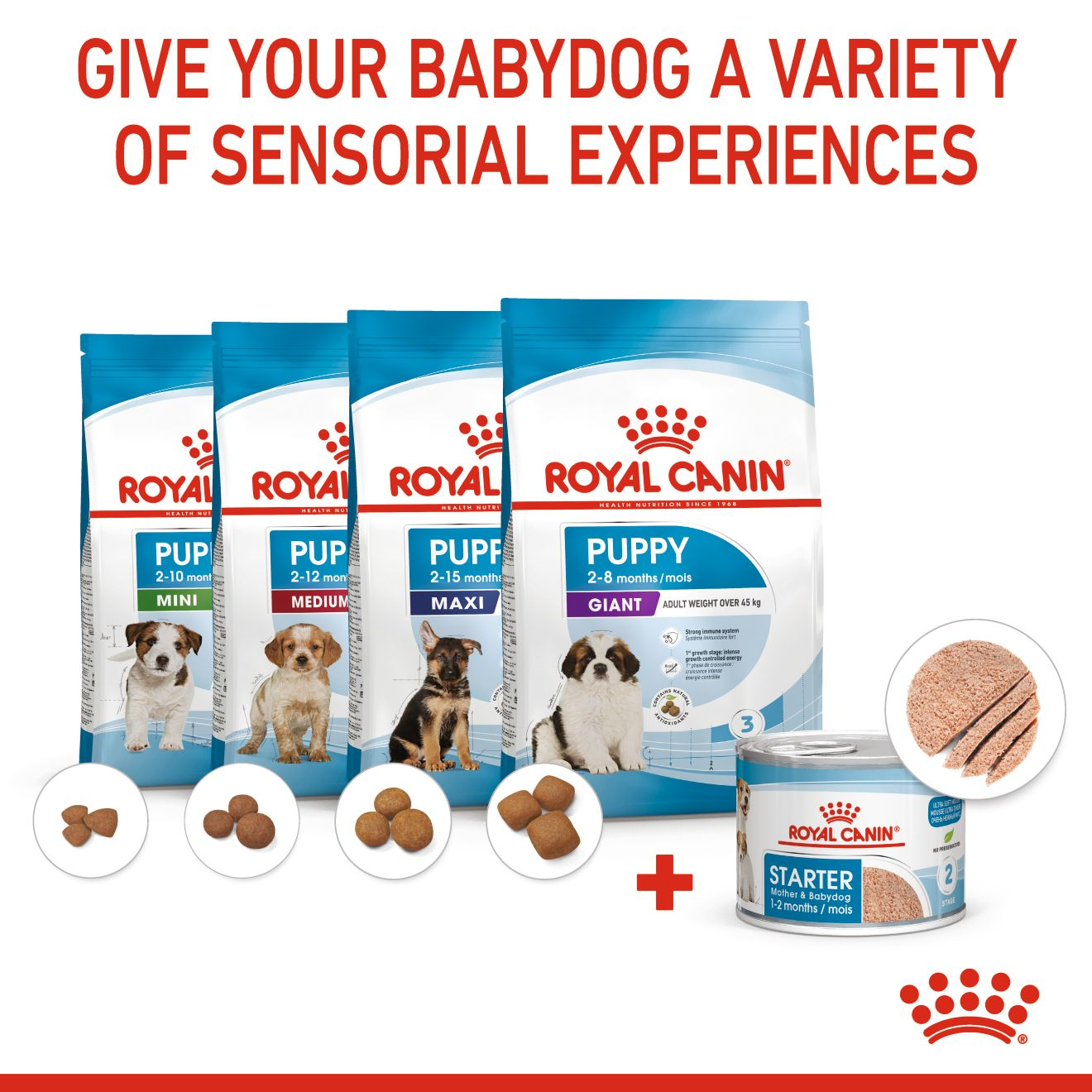 Royal Canin Canine Health Nutrition Starter Mousse Mother & Baby dog (WET FOOD - Cans)