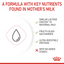 Royal Canin Feline Health Nutrition Babycat Milk 300 g