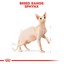 Royal Canin  Feline Breed Nutrition Sphynx 2 KG