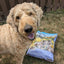 Taste Of Wild Ancient Mountain Canine Recipe - Lamb