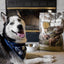 Taste Of Wild Pine Forest Canine Recipe with Venison & Legumes