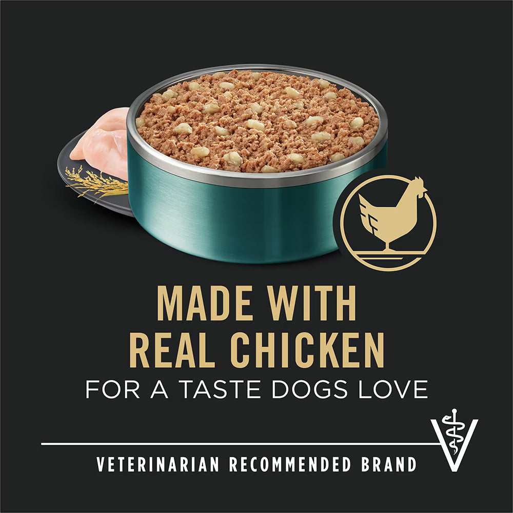 Pro Plan Puppy Small Breed Chicken & Brown Rice Entrée Wet Dog Food - 156g x 24