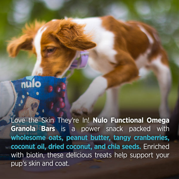 Buy Nulo Functional Granola Omega Dog Treats 283g Healthy Dog