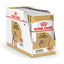 Royal Canin  Breed Health Nutrition Poodle Adult (WET FOOD - Pouches)