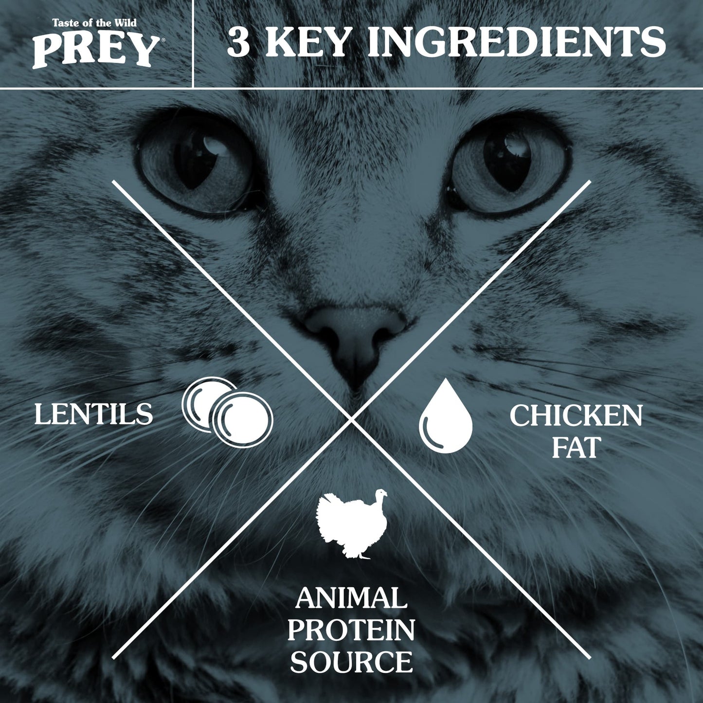 Taste Of Wild Prey Turkey Formula for Cat with Limited Ingredients