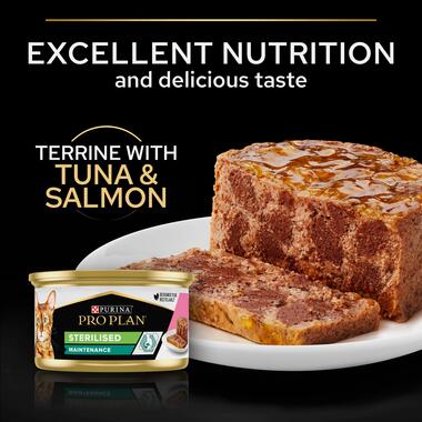 Purina Pro Plan Adult Maintenance, Wet Cat Food, Terrine with Salmon and Tuna