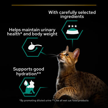 Purina Pro Plan Adult Maintenance, Wet Cat Food, Terrine with Salmon and Tuna