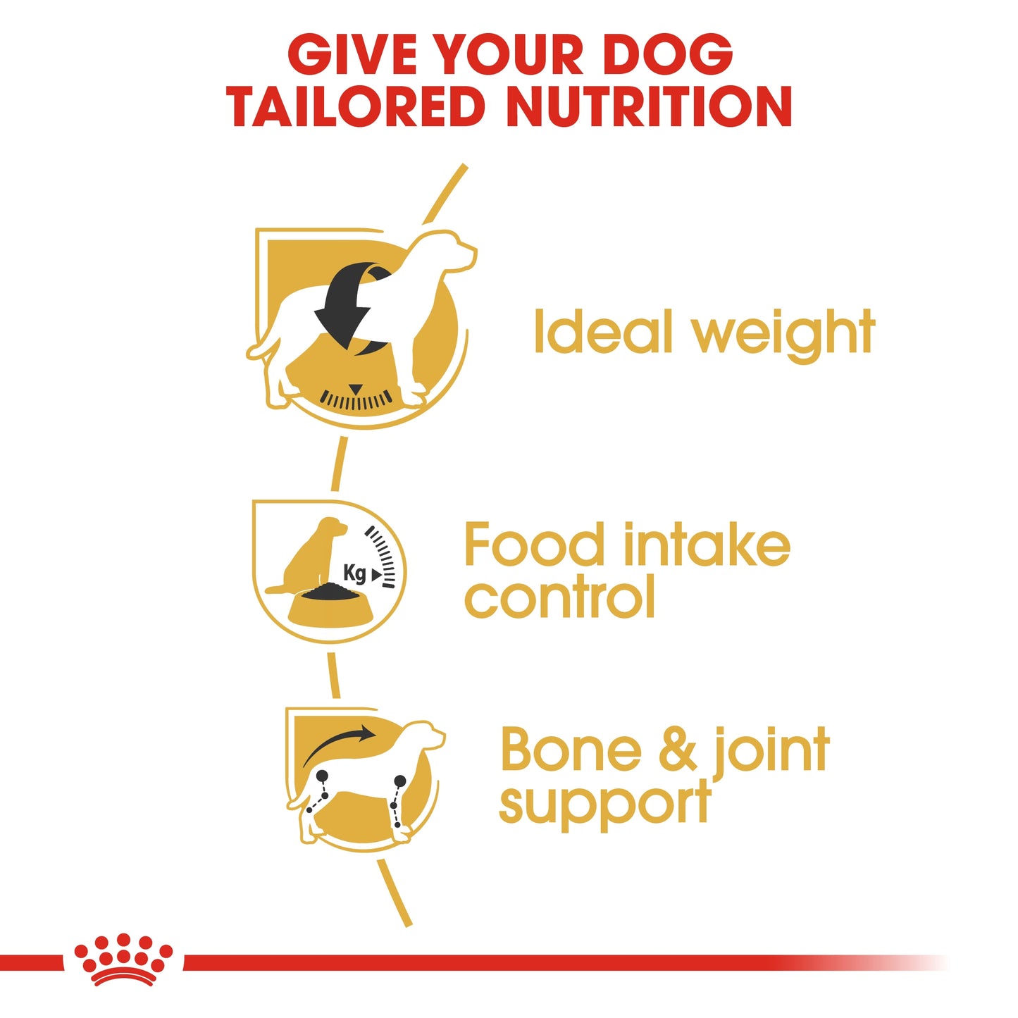 Royal Canin Breed Health Nutrition Beagle Adult 3 KG