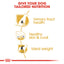 Royal Canin Breed Health Nutrition Bichon Frise Adult 1.5 KG