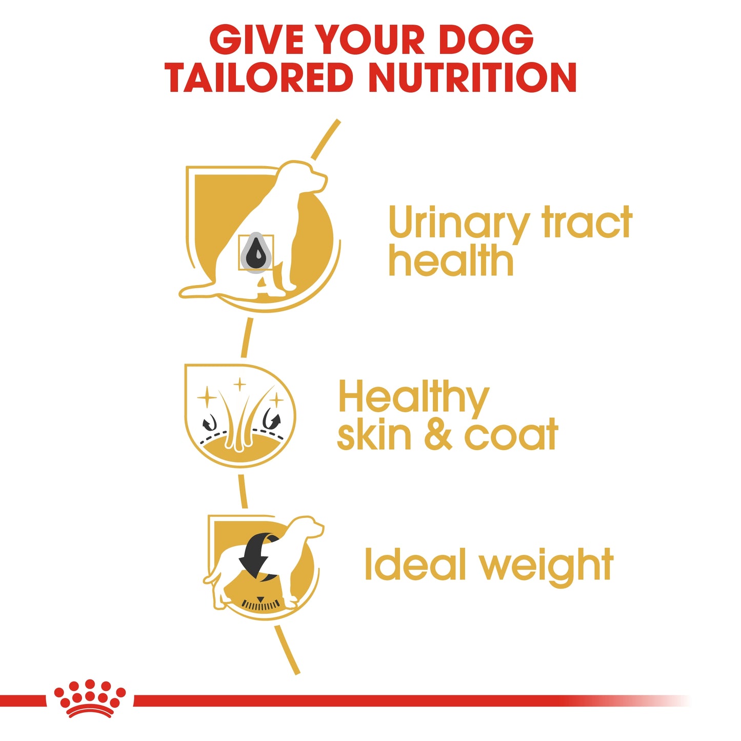 Royal Canin Breed Health Nutrition Bichon Frise Adult 1.5 KG