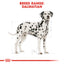 Royal Canin Breed Health Nutrition Dalmatian Adult 12 KG