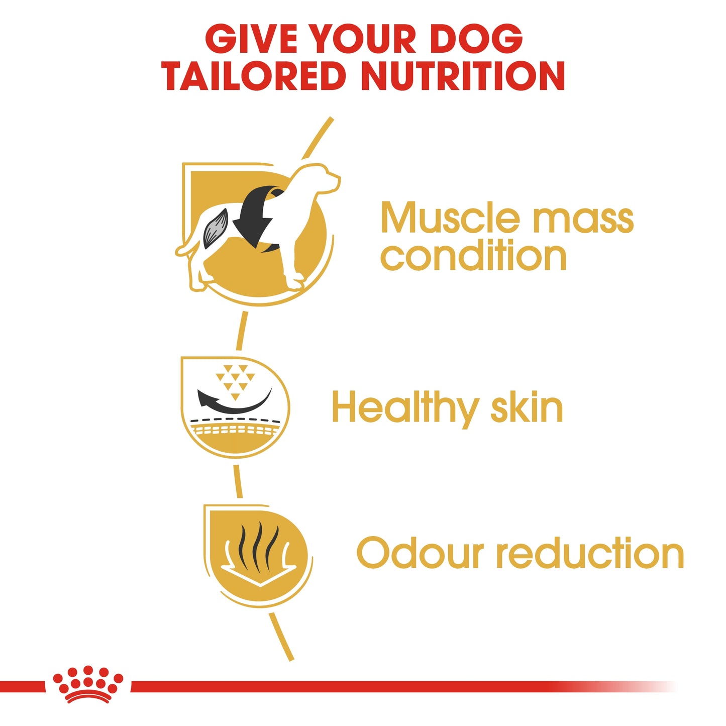 Royal Canin Breed Health Nutrition French Bulldog Adult 3 KG