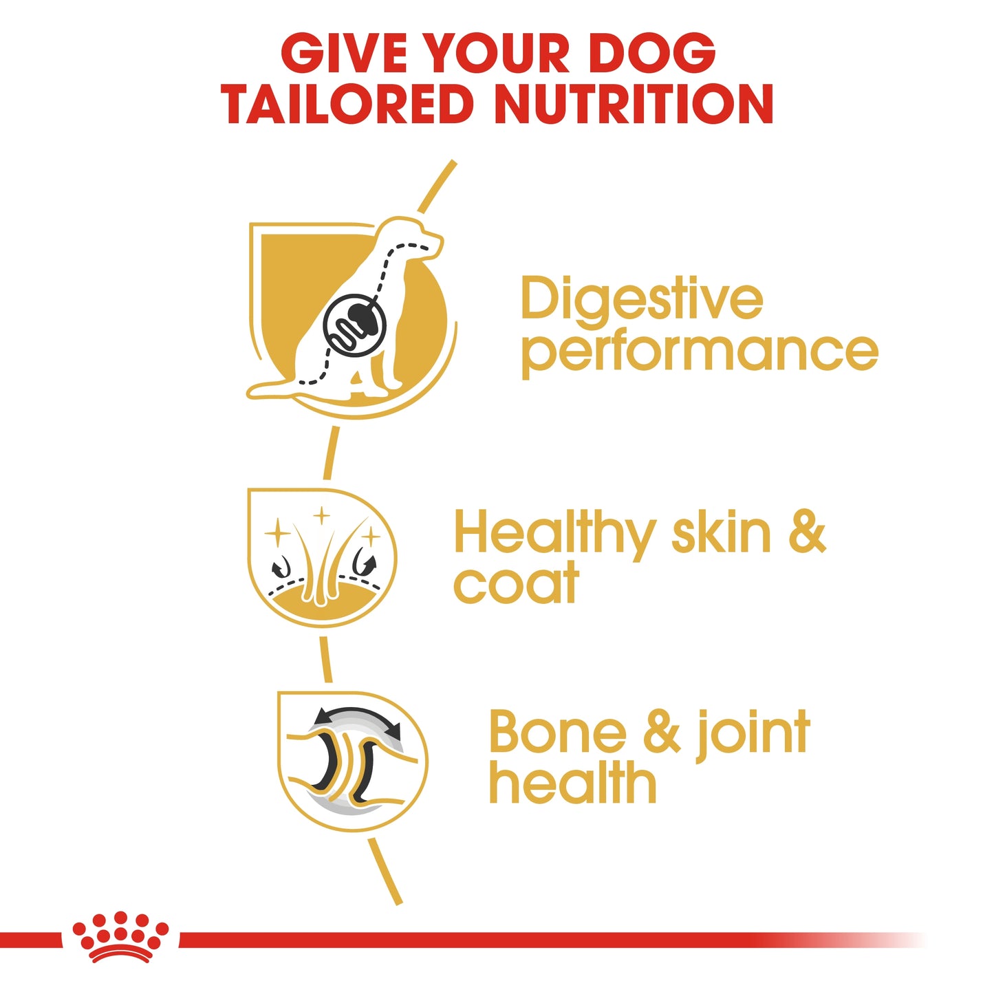 Royal Canin Breed Health Nutrition German Shepherd Adult