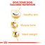 Royal Canin Breed Health Nutrition Pug Adult
