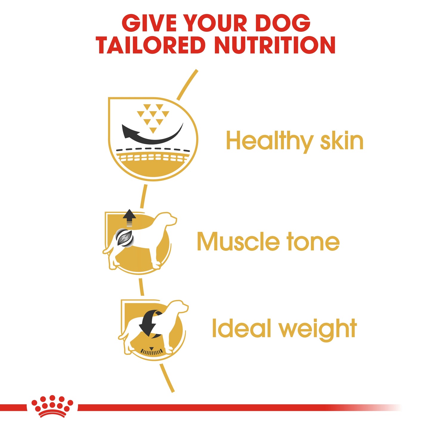 Royal Canin Breed Health Nutrition Pug Adult