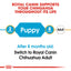 Royal Canin Breed Health Nutrition Chihuahua Puppy 1.5 KG
