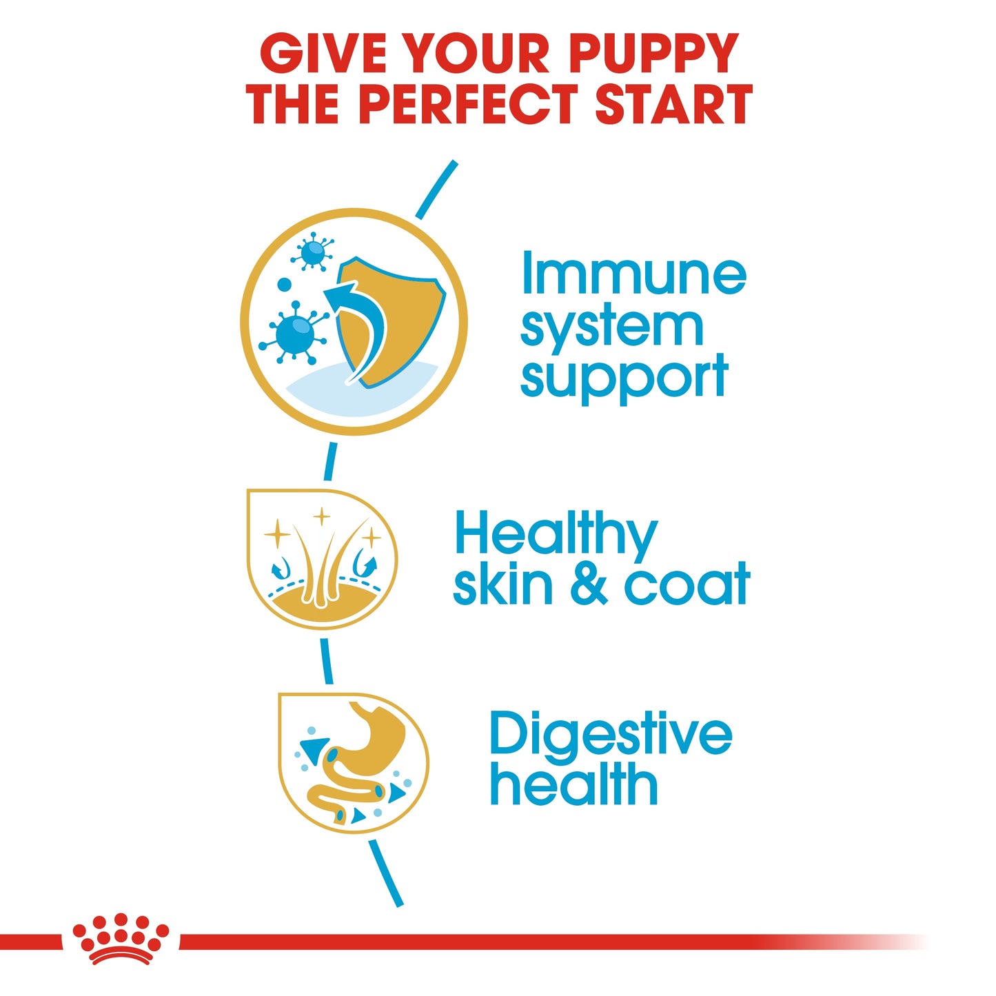 Royal Canin Breed Health Nutrition Cocker Puppy 3 KG