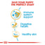 Royal Canin Breed Health Nutrition French Bulldog Puppy 3 KG