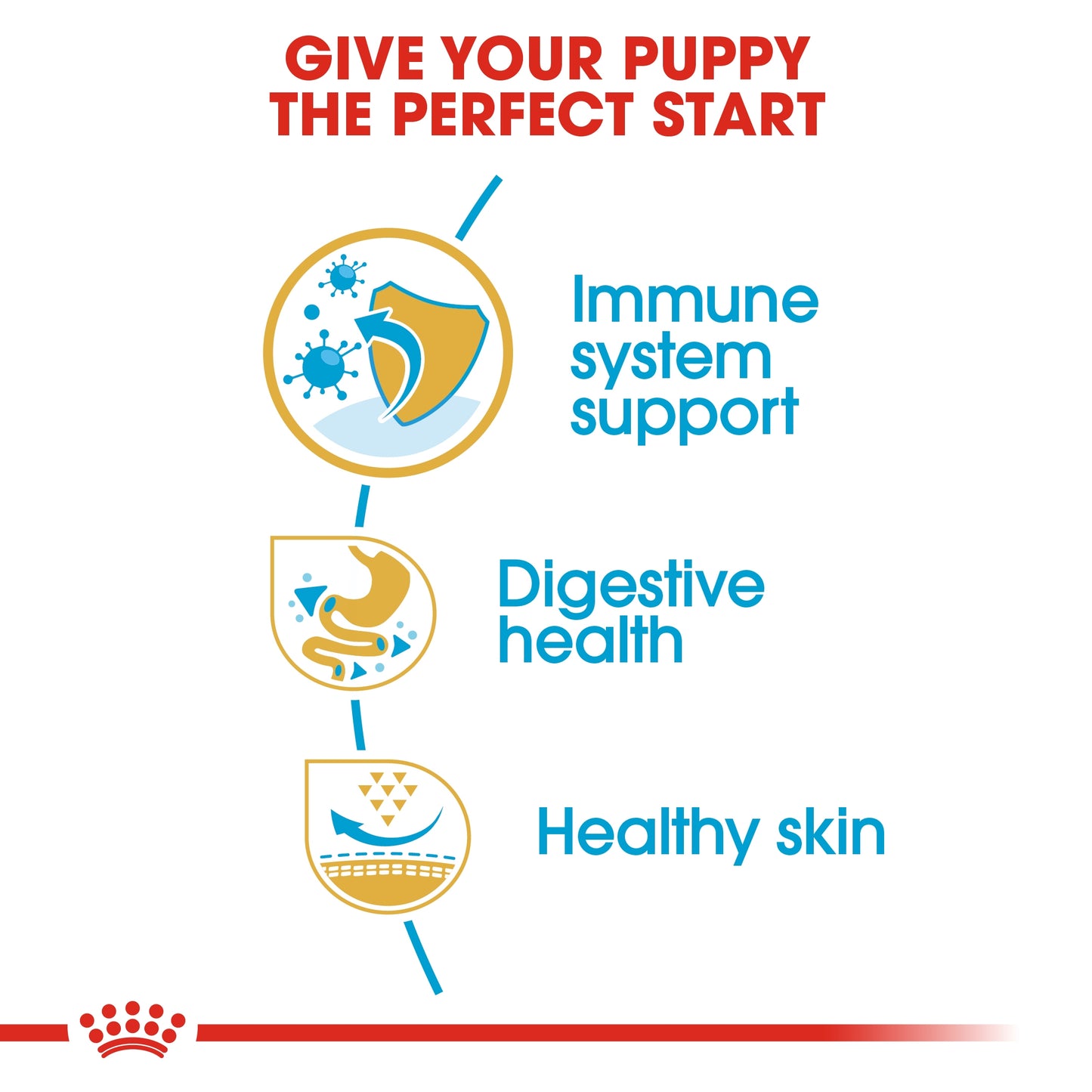 Royal Canin Breed Health Nutrition French Bulldog Puppy 3 KG
